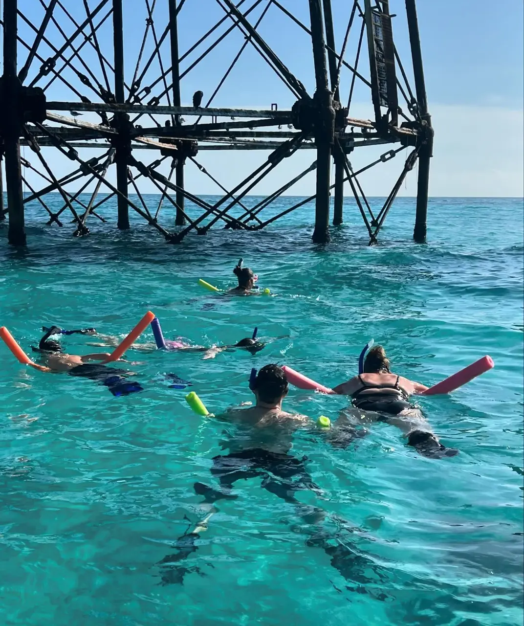 Snorkelers exploring vibrant coral reefs during the top snorkeling tours in Islamorada