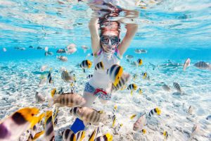 Best places to snorkel in Islamorada with clear waters, vibrant coral reefs, and colorful marine life in the Florida Keys.