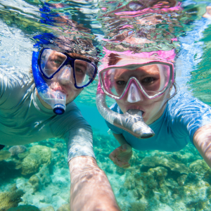 Top Snorkeling Spots in Islamorada: What You'll See Underwater